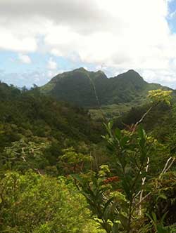 Olomana in Kailua