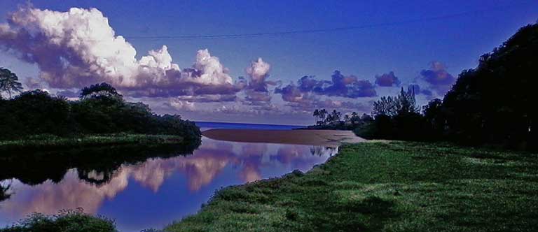 Waimea River